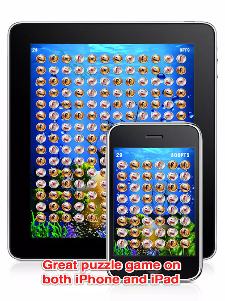 A Pirates' Treasure: Coin Collection Free iPad Screenshots