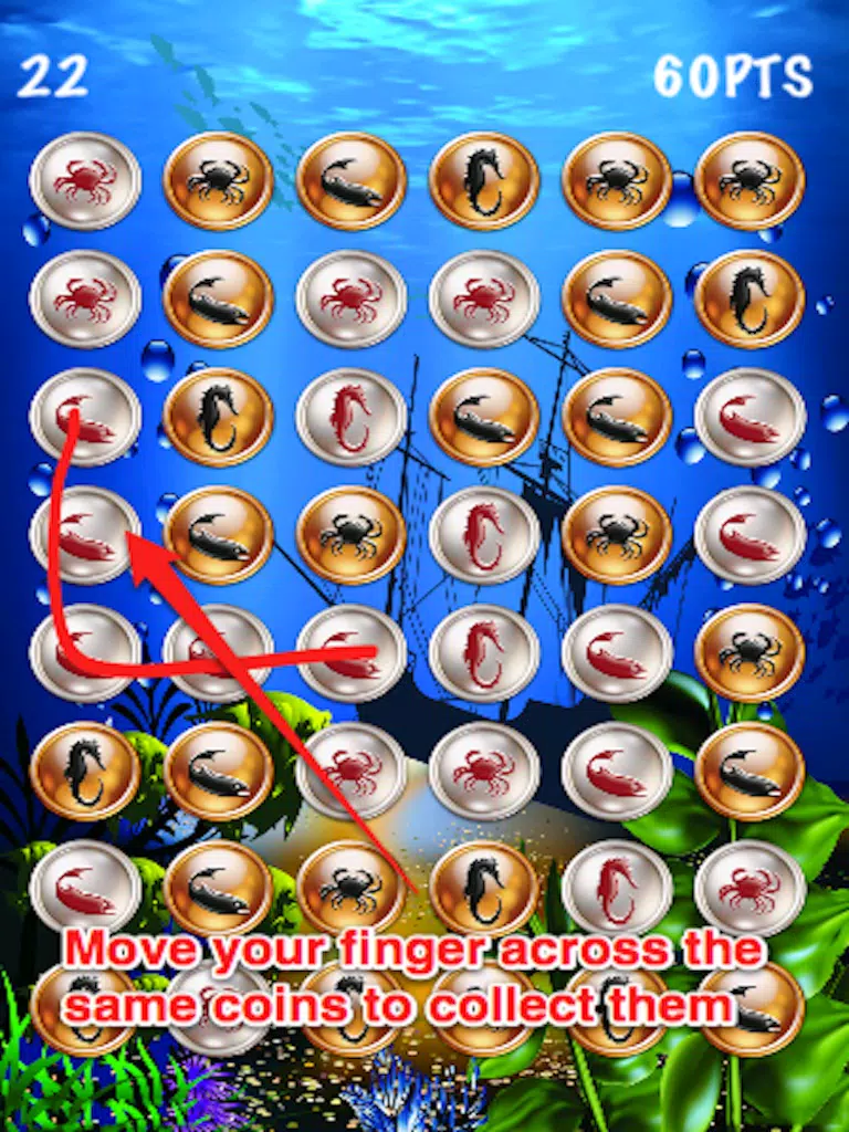 A Pirates' Treasure: Coin Collection Free iPad Screenshots