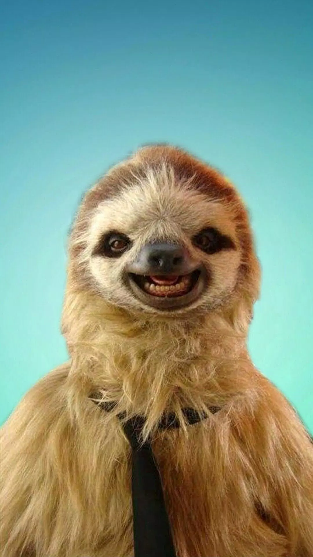 Sloth Wallpapers應用截圖