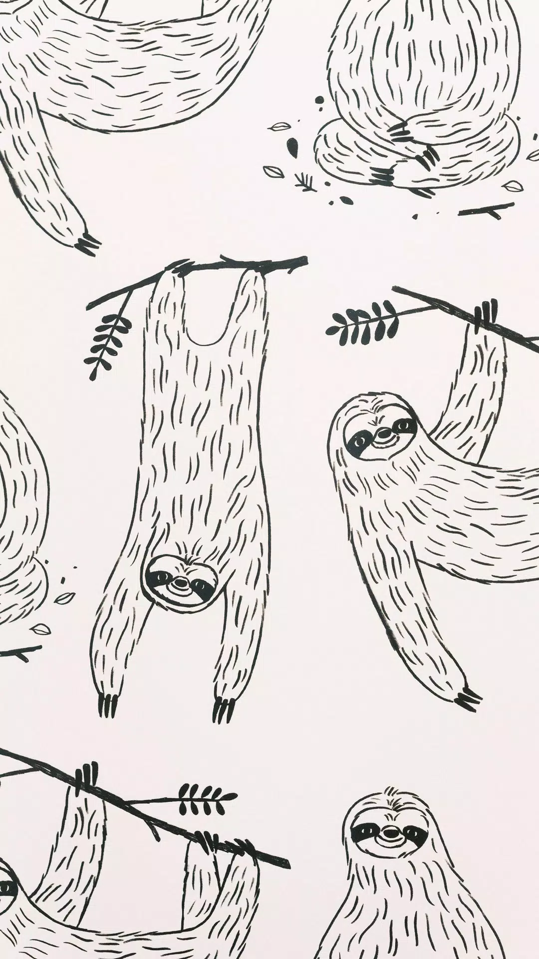 Sloth Wallpapers應用截圖