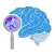 BRAIN Initiative PI Meetings