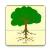 Research Data Archive (USFS)