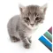 Nodding Cat