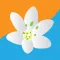 Kavala City Care