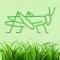 Grasshoppers