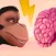 Brain Evolution
