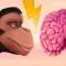 Brain Evolution
