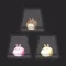 Shake Rabbits