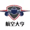 模拟经营:航空大亨