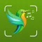 Bird Identifier ID: Snap Sound
