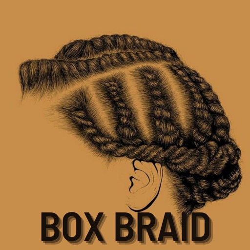 Knotless Box Braids Hairstyles Knotless Box Braids Hairstyles