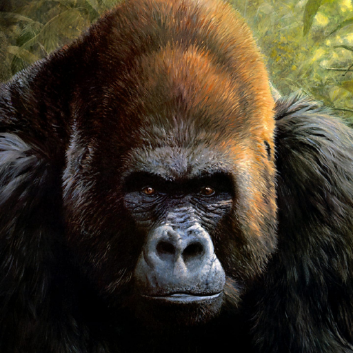 Monkey Wallpaper