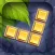 10s Amazing! Wood Block Puzzle