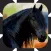 Horse Drive