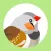 Finch for Twitter - Discover and curate photos