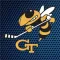 Georgia Tech Hockey