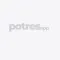 Potres.app