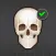 Human Skeleton: Bones for beginners
