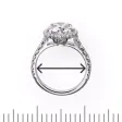 Ring Sizer!