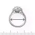 Ring Sizer!