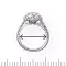 Ring Sizer!