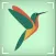Bird Identifier by Name