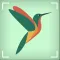 Bird Identifier by Name