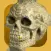 Free the Fleadh Skull