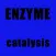 EnzymeQA