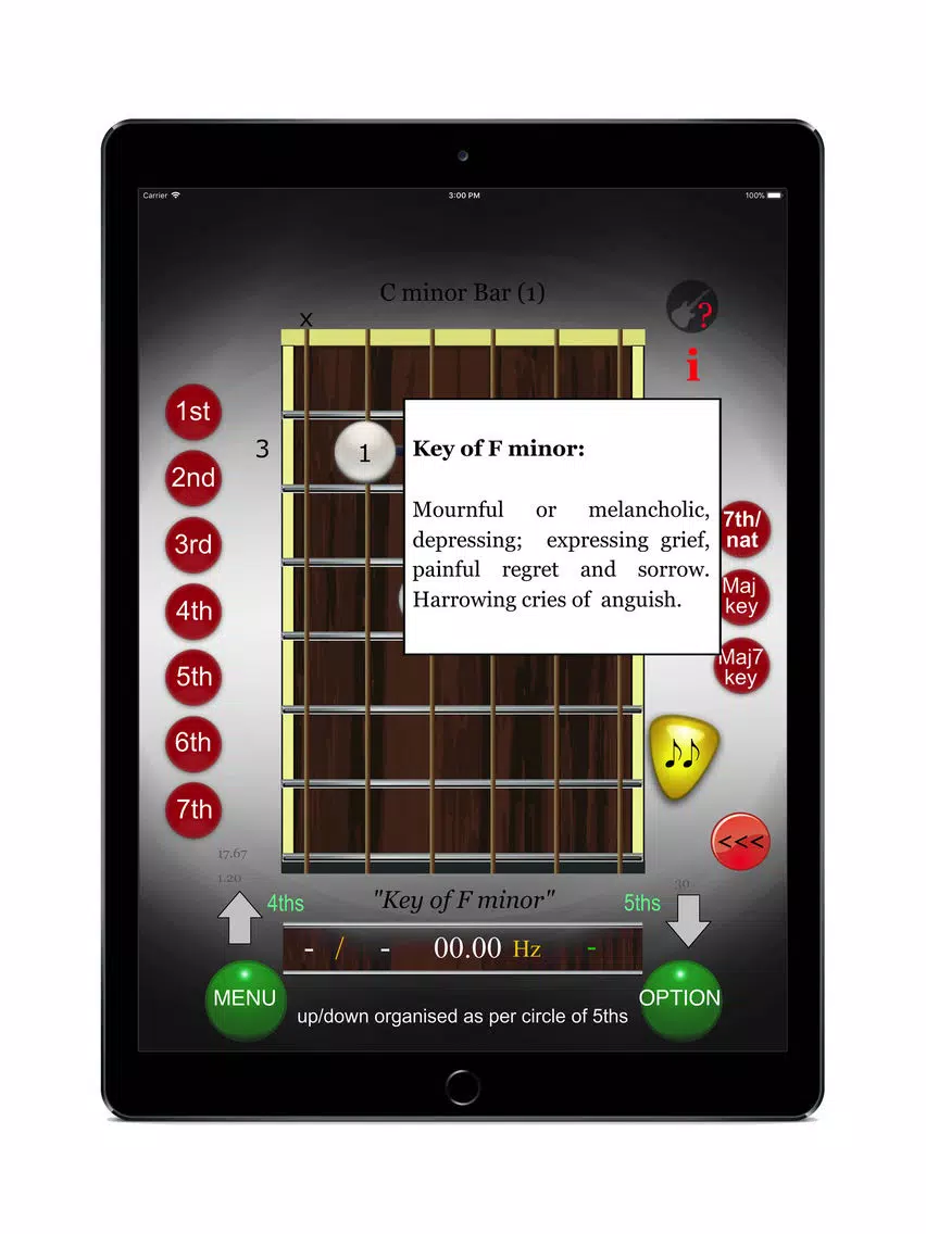 Chord - Scales : Guitar iPad Screenshots