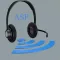 Any Shoutcast Player