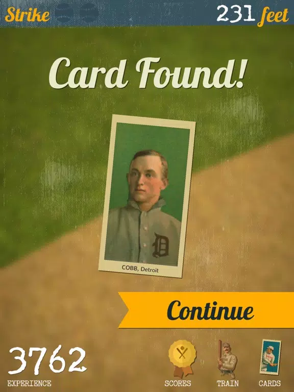 صور Homerun Smash: Baseball Field of Dreams iPad 