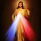 Daily Holy Bible Verses & word