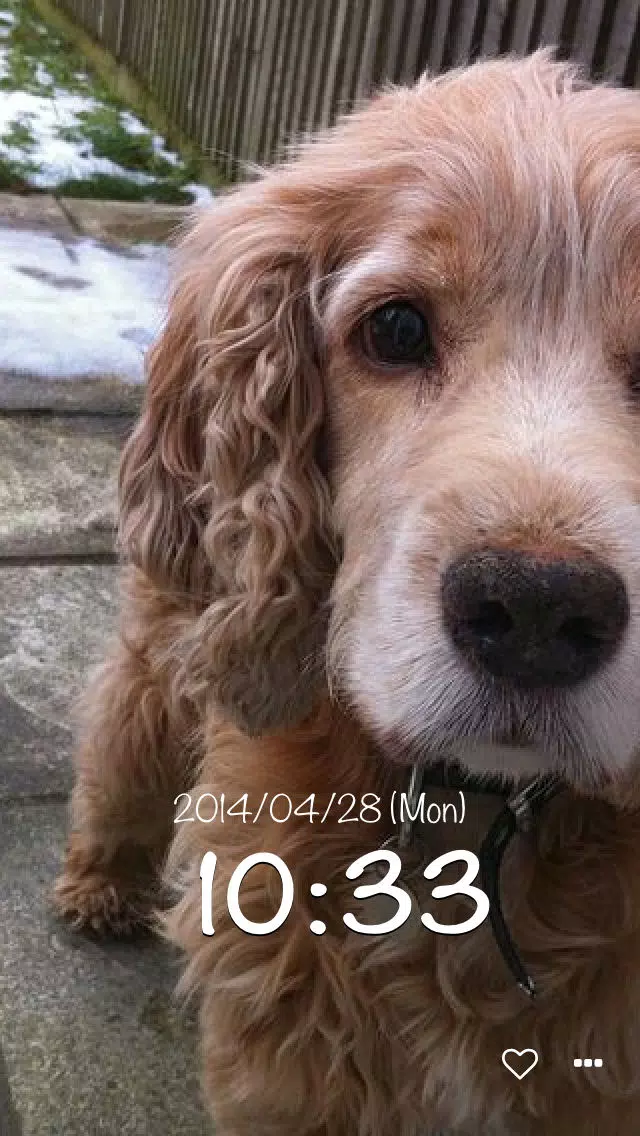 dog clock - clock for dog lovers - Screenshots
