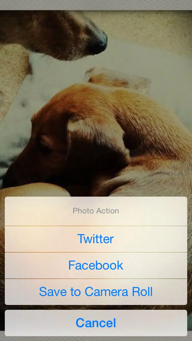 dog clock - clock for dog lovers - Screenshots