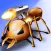 ROBOANT | Ant Game | Battle With Bugs