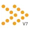Salestrak V7