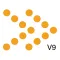 Salestrak V9