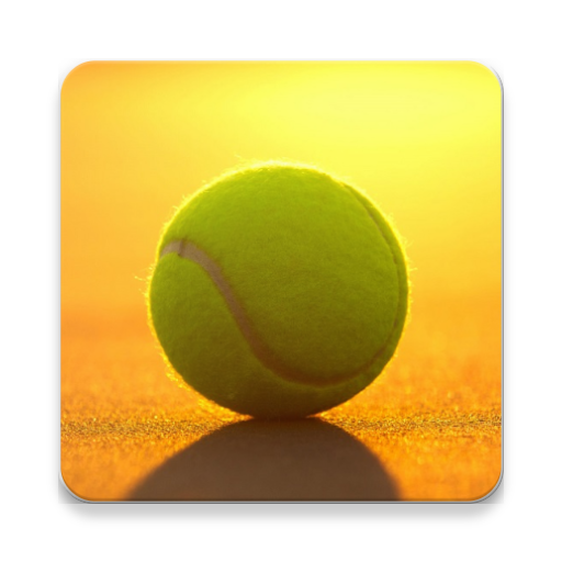 Sports Guide