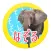 どうぶつひらがなさがし