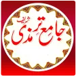 Jamia Termizi