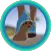 Challenge Run