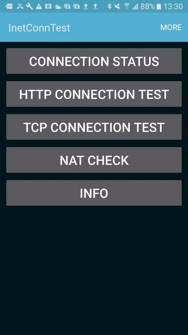 InetConnTest スクリーンショット