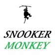 SNOOKER MONKEY