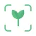 Free Plant Identifier