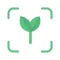 Free Plant Identifier