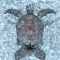 SUNKEN ROOM - escape game -