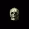 Gothic Ghouls