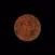 Vintage Moon Stickers