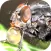 Insecten